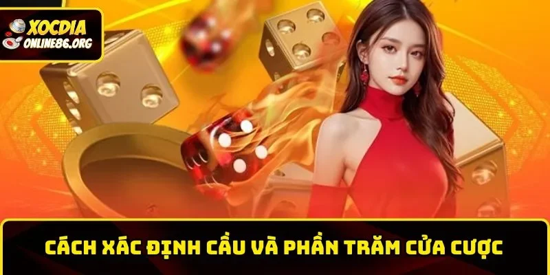 Cách xác định cầu và phần trăm cửa cược